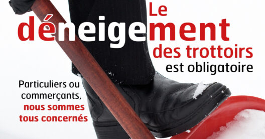 deneigement_web